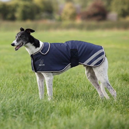 Digby fox cappotto - digby,