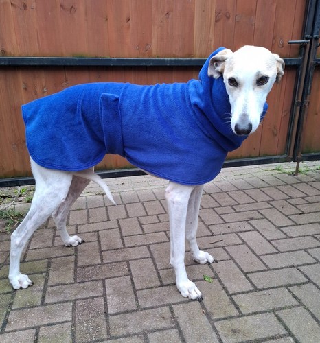 Cappotto per cani pile - cani,