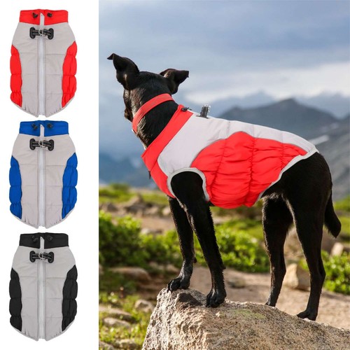 Gilet per animali domestici - animali,