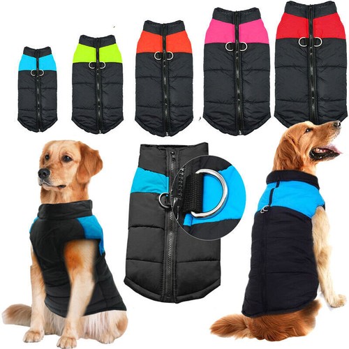 Cappotto per cani invernale - cani,